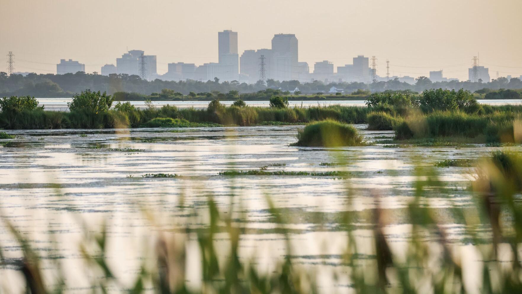 Louisiana 2050: What you need to know about our vanishing coast